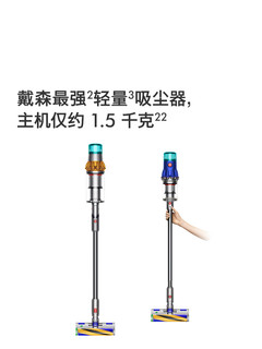 dyson 戴森 V12 Fluffy轻量无线吸尘器家用大吸力除螨 V12 Detect Slim Fluffy