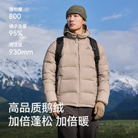 PELLIOT 伯希和 800蓬鹅绒羽绒服女2023秋冬户外防风保暖外套滑雪登山服男