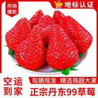 沙窝曙光 空运到家）丹东草莓99红颜奶油大草莓年货礼盒 3斤大果装单果20-30g