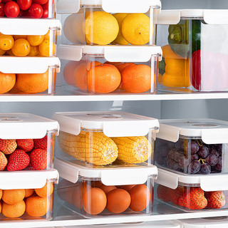 家の物语（KATEI STORY）高透明水果盒冰箱收纳盒分格便当盒外出携带小保鲜盒食品级 真空收纳盒750ml(一个装）小号