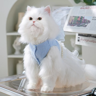 神经猫（shenjingmao）猫衣服猫咪防掉毛夏季薄款夏天春天布偶蓝猫公主群小猫 （建议体重3-5斤）
