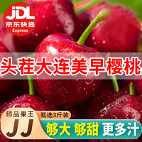 妮娜之恋 大连美早樱桃国产车厘子2JJ级3斤精品果王节日送礼新鲜水果