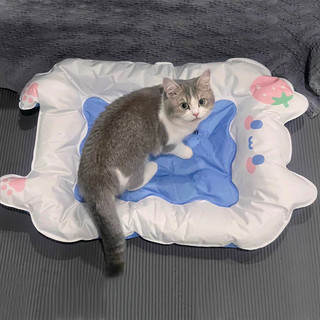 Hoopet 猫咪冰垫狗狗睡垫猫冰窝垫子夏天降温凉垫睡觉用地垫宠物用品凉席