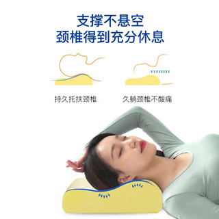 睡眠博士（AiSleep）枕芯记忆枕 升级版B型慢回弹豪华成人款颈椎枕 记忆棉枕 温感波浪枕·60*40*12/10CM