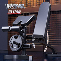 创思维 多功能哑铃凳椅专业卧推凳家用器材轻商用运动锻炼器械 CSW9300套装(含10公斤PU铃片×2)