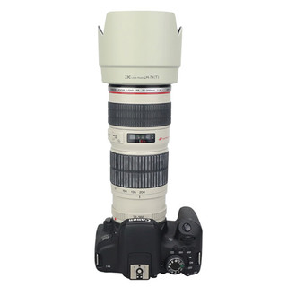 JJC 相机遮光罩 替代ET-74 适用于佳能EF 70-200mm F4L小小白镜头6D2 5DS 5DSR 90D 80D 77D单反配件 白色