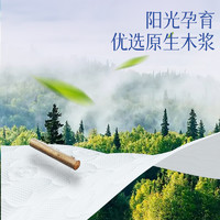 PURE BAMBOO 纯竹工坊 蓝漂大包悬挂式抽纸餐巾纸擦手纸卫生纸家用实惠装厕纸整箱装批发