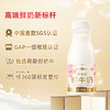 【多人团】每日鲜语高端鲜牛奶185ml*14瓶装牛奶儿童鲜奶早餐奶B