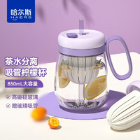 HAERS 哈尔斯 玻璃杯女士泡茶杯大肚吸管杯学生办公茶水杯子 紫色850ml