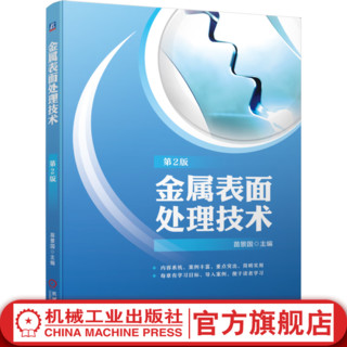  金属表面处理技术  第2版 苗景国 金属表面处理技术特点技术路线工艺方法书籍