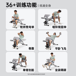 RiDO 力动康体 力动（RIDO）多功能哑铃凳健身椅仰卧起坐辅助器卧推凳家用健身器材TD51