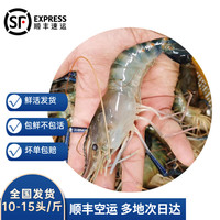 沢素湾 罗氏虾 超大号罗氏虾鲜活 大头虾 淡水虾王 生鲜冰鲜 3斤过瘾【10-15只/斤】大号