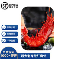 沢素湾 深海红魔虾 刺身红魔虾鲜活 船冻远洋海捕 绯红虾胭脂虾红虾 1000g（过瘾） 大号11-13只/斤（17-19cm）