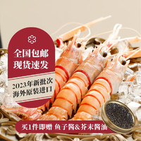 乐味到（EAT WITH LOVE） 新西兰scampi斯干比海鳌虾 特大虾海鲜鳌虾刺身日料小龙虾 3号1kg 16-20只/kg