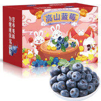 京鲜到 云南高山蓝莓 12mm+大果 4盒装 约125g/盒 产地直发