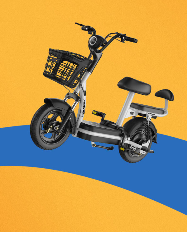 飞鸽(flying pigeon)电动车新国标智能电动自行车男女式双人款成人48v