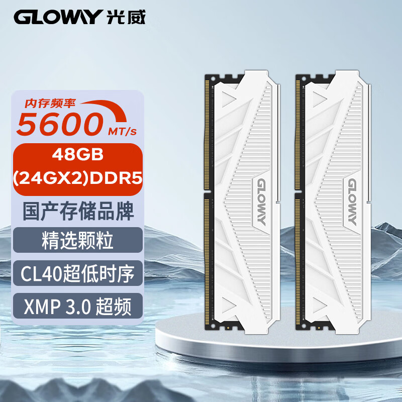 48GB套装 DDR5 5600 台式机内存条 天策系列 助力AI