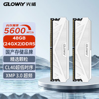 PLUS会员：GLOWAY 光威 48GB套装 DDR5 5600 台式机内存条 天策系列 助力AI