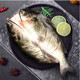 巢三珍 斑点叉尾鮰鱼400g 生鲜食材 鱼类原料