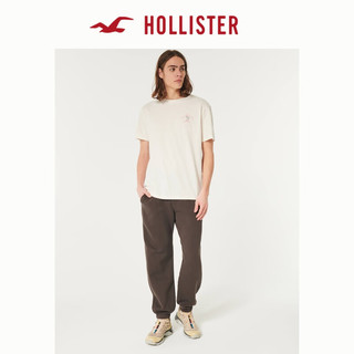 HOLLISTER 霍利斯特 男士T恤