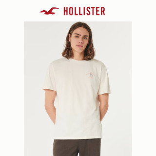 HOLLISTER 霍利斯特 男士T恤