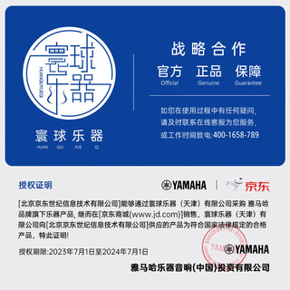 YAMAHA 雅马哈 竖笛高音C调学生成人初学笛子YRS-24B英式