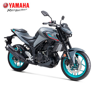 雅马哈（YAMAHA）MT-03摩托车重机车跑车大排量趴赛赛车双缸水冷整车可上牌 幻影灰