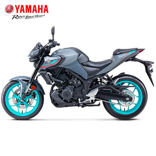 雅马哈（YAMAHA）MT-03摩托车重机车跑车大排量趴赛赛车双缸水冷整车可上牌 幻影灰