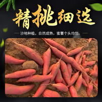 莎薯 正宗烟薯25红薯 5斤