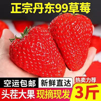 爆甜  丹东99红颜草莓 3斤礼盒装（大果）