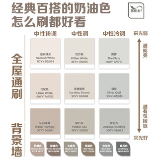 多乐士（Dulux）致悦竹炭抗甲醛乳胶漆 功夫熊猫4电影限量联名礼盒 A740套装15L