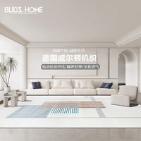 布迪思 BUDISI威尔顿机织地毯客厅轻奢加厚卧室房间沙发地垫办公室地毯可 安哥拉12 200*290CM