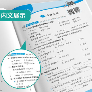 实验班提优训练 小学语文三年级下册 人教版RMJY 课时同步强化练习拔高特训 2024年春