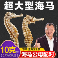 陆零后 三斑海马药材【CAWC认证】大型干海马 干货公母一对海龙海马泡酒煲汤滋补 【超大海马1对】 10克