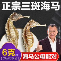 陆零后 三斑海马药材【CAWC认证】大型干海马 干货公母一对海龙海马泡酒煲汤滋补 【三斑海马1对】 6克