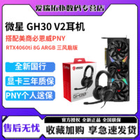 百亿补贴：MSI 微星 PNY 必恩威 GEFORCE RTXg0m0Ti  8GB AR GB 独立游戏显卡 + 微星 GH30V2耳机