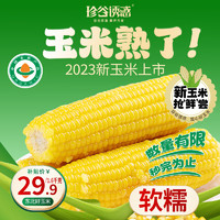 珍谷诱惑 东北有机糯玉米 鲜食糯玉米棒200g/支