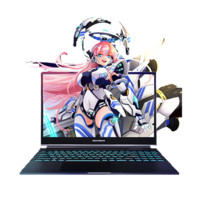 机械革命 极光Pro 16英寸游戏本（i7-13650HX、16GB、1TB SSD、RTX4060）