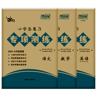《 2024版天利38套小学总复习专项测练测试卷》（科目任选）