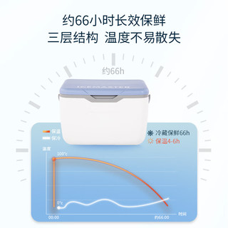 冰大师（ICEMASTER）保温箱车载商用大容量冷藏箱户外露营便携手提食品保鲜冰箱20L 20L白色