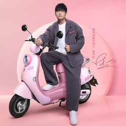 aima爱玛露娜电动车60v长续航电动摩托车成人男女电瓶车嘟嘟粉