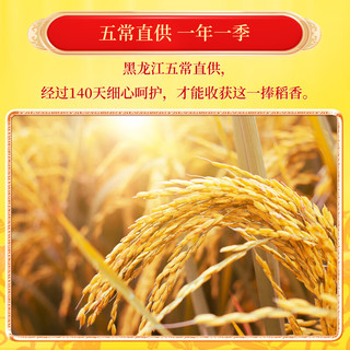 十月稻田 五常稻香米 五常大米 10kg（东北大米 香米 10公斤）