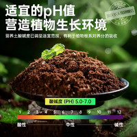 DWD 德沃多肥料 营养土养花通用25L种菜专用植物花土盆栽多肉种植泥炭土进口花泥