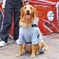 Hoopet 狗狗春秋款带牵引绳衣服式中型大型犬秋装秋季四脚金毛大狗冬宠物