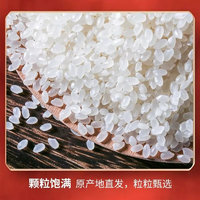 食 东北黑龙江大米新米5斤小袋珍珠米10斤长粒香米稻花香米 2.5kg  东北珍珠米