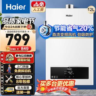Haier 海尔 JSQ22-12UTSDMWM 燃气热水器 白色 12L