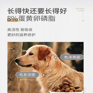 MAG 狗狗卵磷脂鱼油颗粒450g*3罐美毛粉泰迪金毛幼犬爆毛粉软磷脂