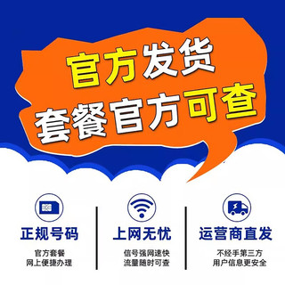 中国电信电信星卡大流量手机卡高速纯流量卡不限速5g网络全国通用长期套餐无合约 千楚卡丨19元115G流量+100分钟+首月免租