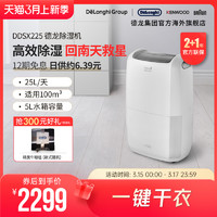 De'Longhi 德龙 Delonghi/德龙 DDSX225 除湿机家用抽湿机吸湿器可干衣卧室内小型