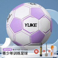 YUKE 羽克 足球儿童小学生专用球4号5号成人青少年初中生中考专业训练用球 紫色4号--pvc不破皮